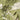 The image is a detailed topographical map of a mountainous region, showing various peaks, valleys, and bodies of water.