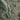 Portland, OR Elevation Map | Satellite Imagery with Topographic Relief
