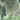 The Ganges Delta Elevation Map | Satellite Imagery with Topographic Relief