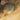 The Richat Structure Elevation Map | Satellite Imagery with Topographic Relief