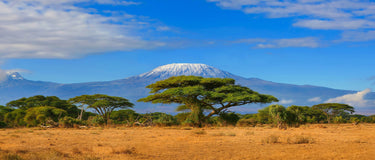 Unveiling the Secrets of the East African Rift System: A Geologic Marvel
