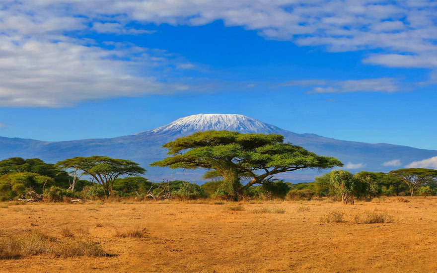 Unveiling the Secrets of the East African Rift System: A Geologic Marvel