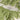 The image is a topographical map of a mountainous region, depicting the contours of the land and the layout of the town or city.
