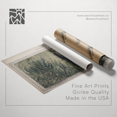a roll of paper with a printed map of a forested area, along with a white tube and a label that reads "The Forest of America".