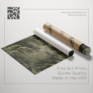 a roll of paper with a landscape print on it, along with a tube of paper and a website address for fine art prints.