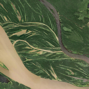 Amazon River Section (Satellite)