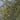 Richards Island, Northwest Territories (Satellite)