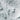 The image is a close-up of a textured surface, possibly a rocky or icy terrain, with a rough, uneven appearance.