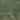 Amazon Basin (Satellite)