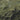 Great Smoky Mountains National Park (Atlas)