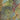 The image is a detailed geological map of a region, showing various geological features such as mountains, valleys, and fault lines.