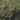 The image is a satellite view of the Great Smoky Mountains National Park, showing the rugged terrain and winding trails that traverse the area.