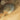 Richat Structure (Satellite)