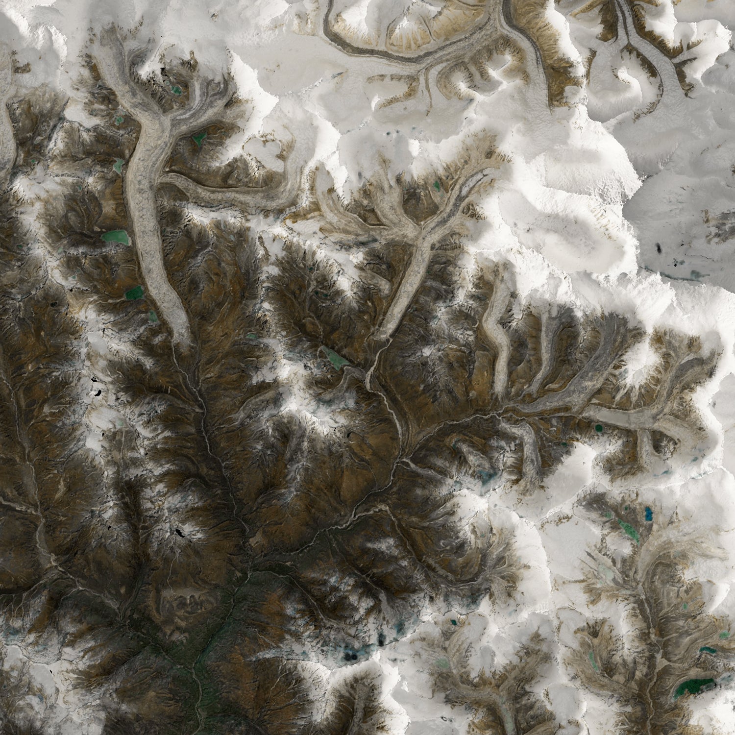Mount Everest Region - Satellite Imagery