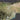 Cyprus (Satellite)