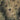 Mexico City (Satellite)
