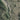 Portland, Oregon (Satellite)