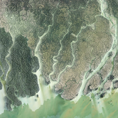 Ganges Delta (Satellite)