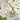 The image is a detailed topographical map of a mountainous region, showing various landmarks, roads, and terrain features.