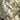 Rocky Mountain National Park, Colorado (Satellite)