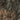 Zion National Park, Utah (Satellite)