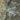 Memphis, Tennessee (Satellite)