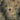 The image is a satellite view of a rugged, mountainous terrain with patches of vegetation and rocky outcroppings.