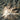 Mount Rainier, Washington (Satellite)