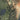 East Africa (Satellite)