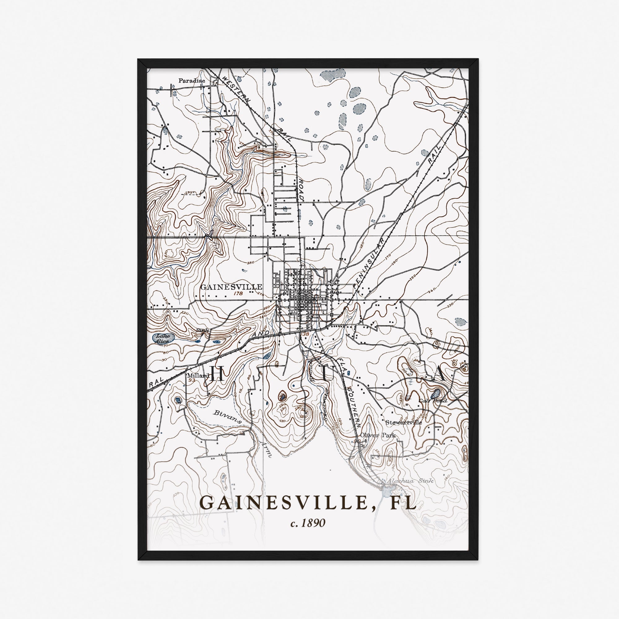 Gainesville, FL - 1890 Topographic Map