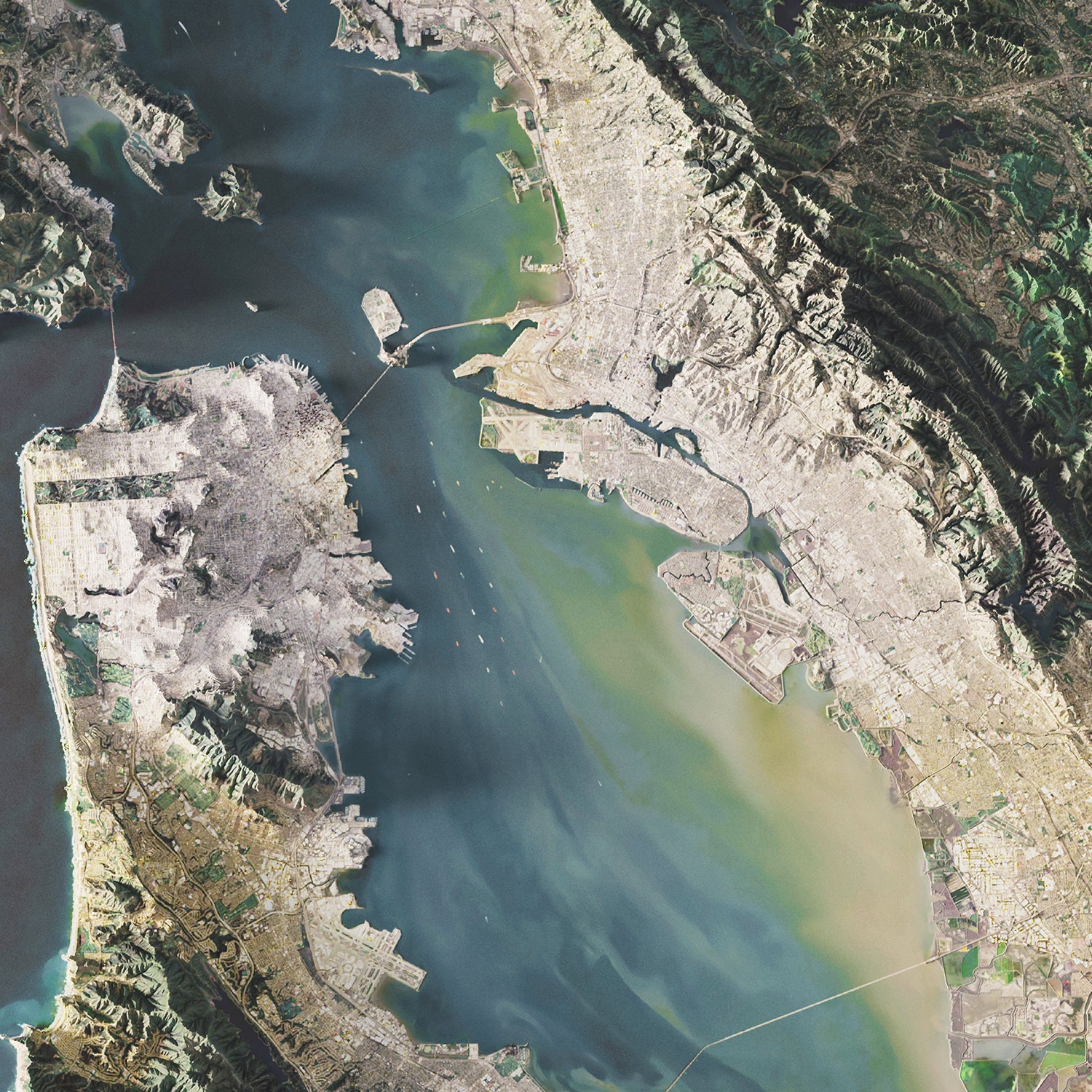 The Bay Area - Satellite Imagery