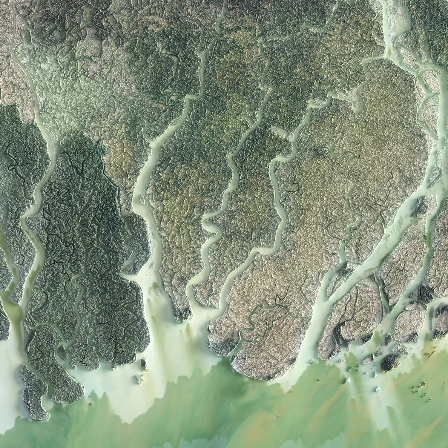 The Ganges Delta - Satellite Imagery