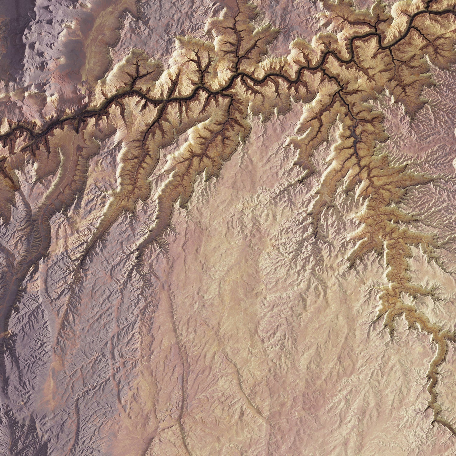 Grand Canyon - Satellite Imagery