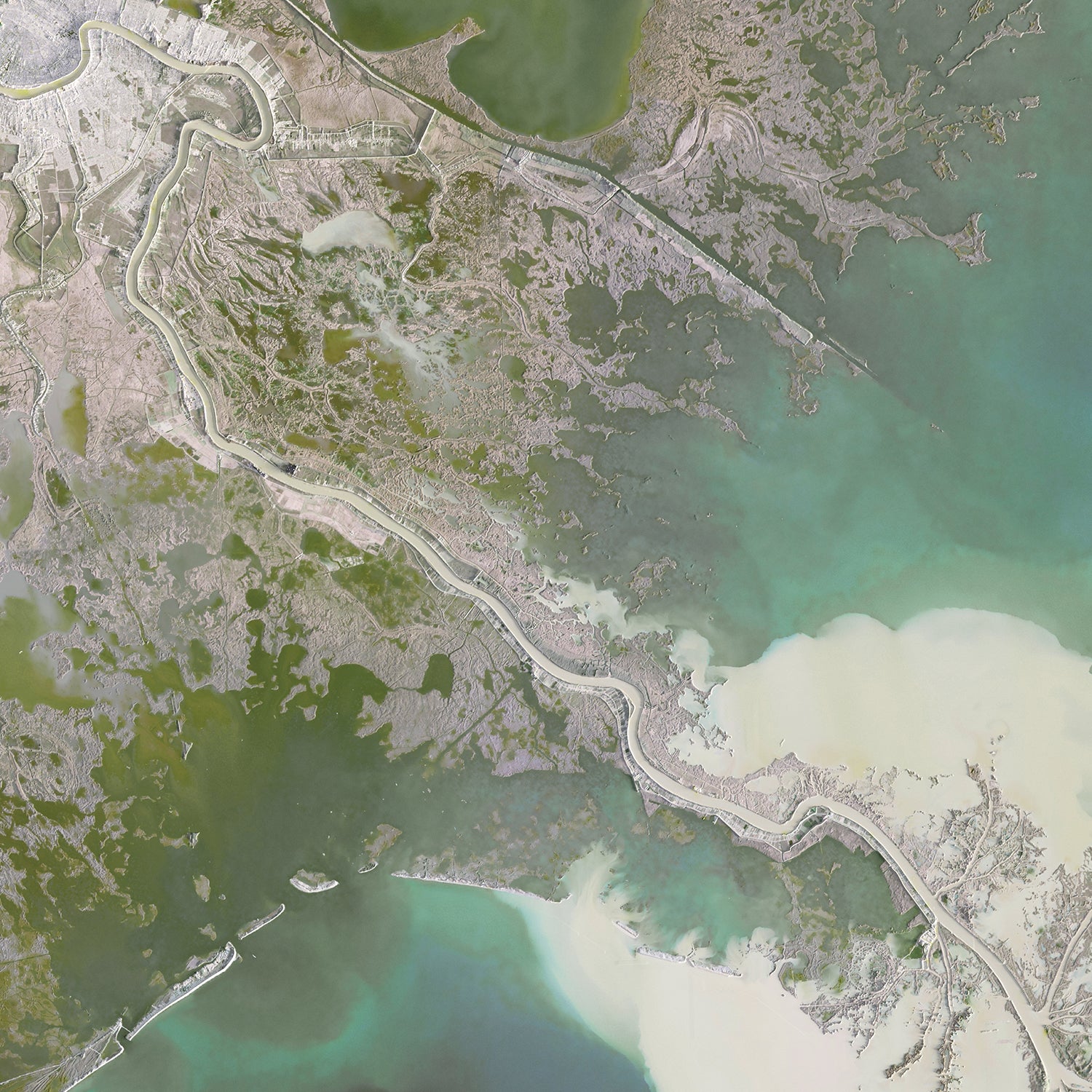 Southeast Louisiana - Satellite Imagery