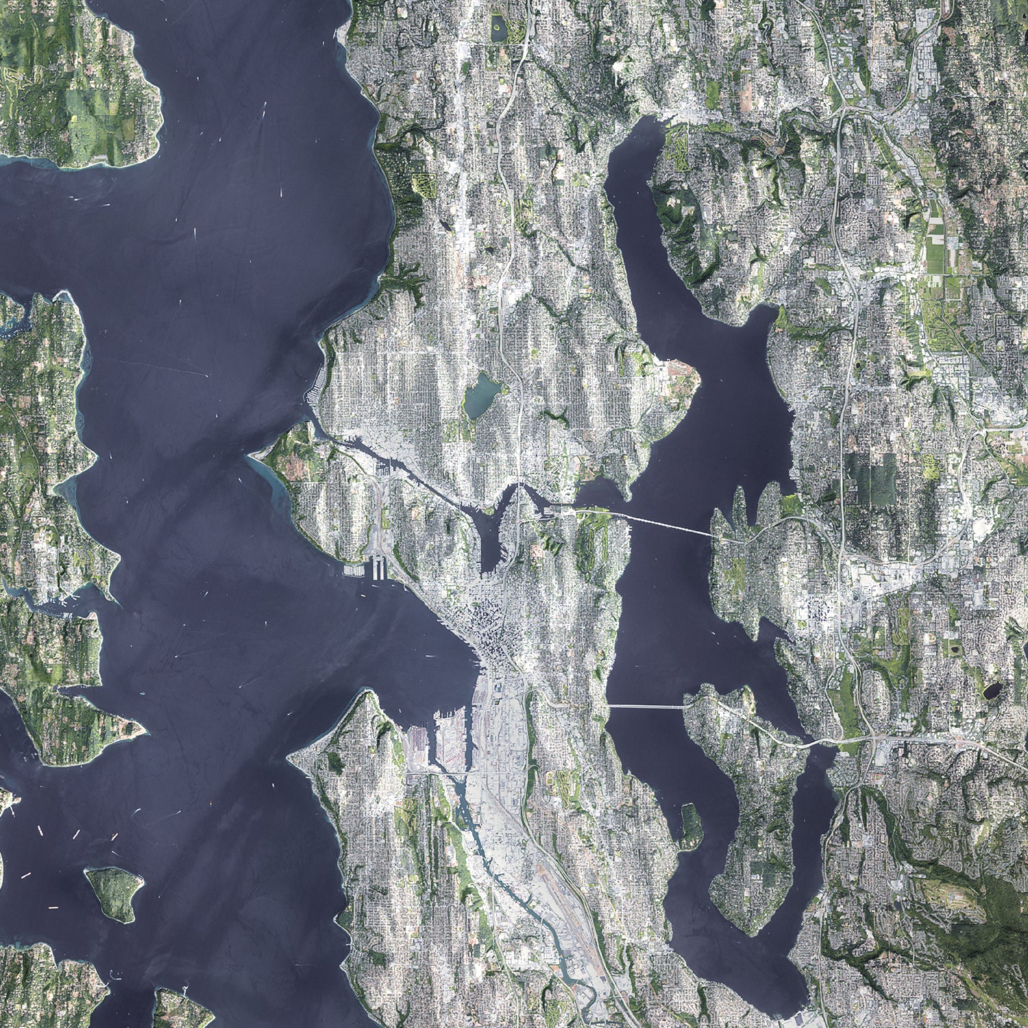 Seattle - Satellite Imagery