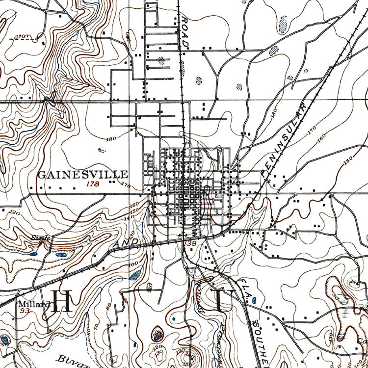Gainesville, FL - 1890 Topographic Map